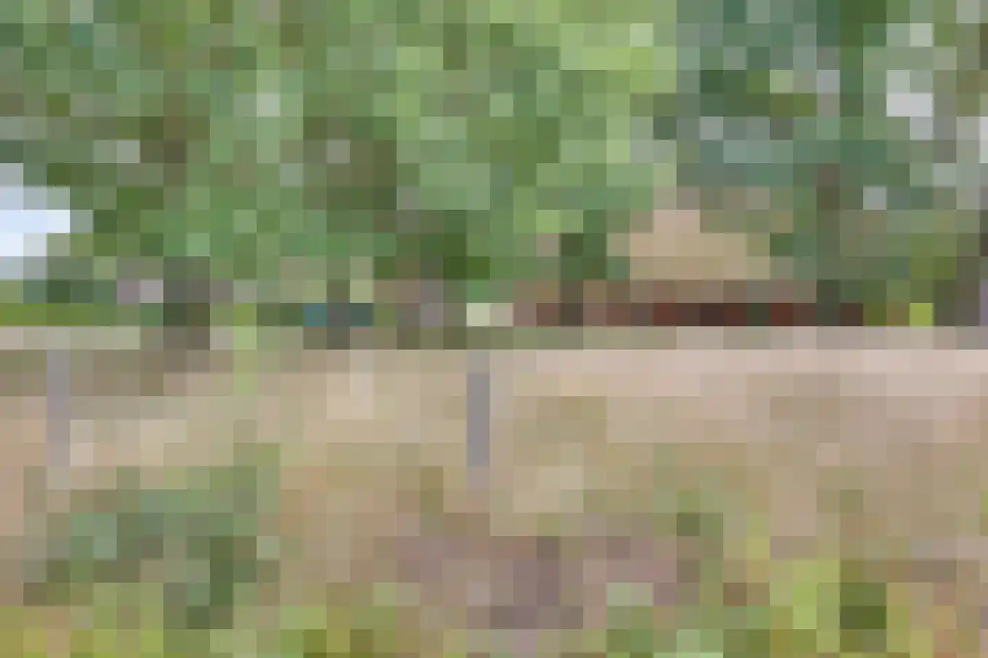 Zenderensestraat 10 Zenderen thumbnail 5