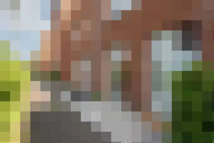 Zenderenstraat 23 Tilburg thumbnail 6