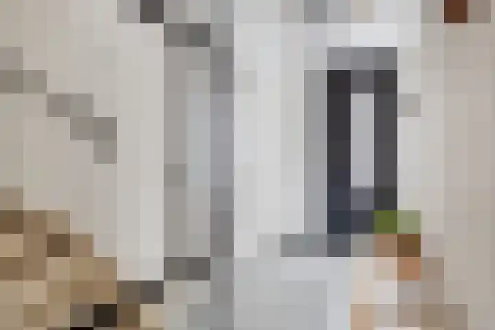 Zenderenstraat 29 Tilburg thumbnail 5