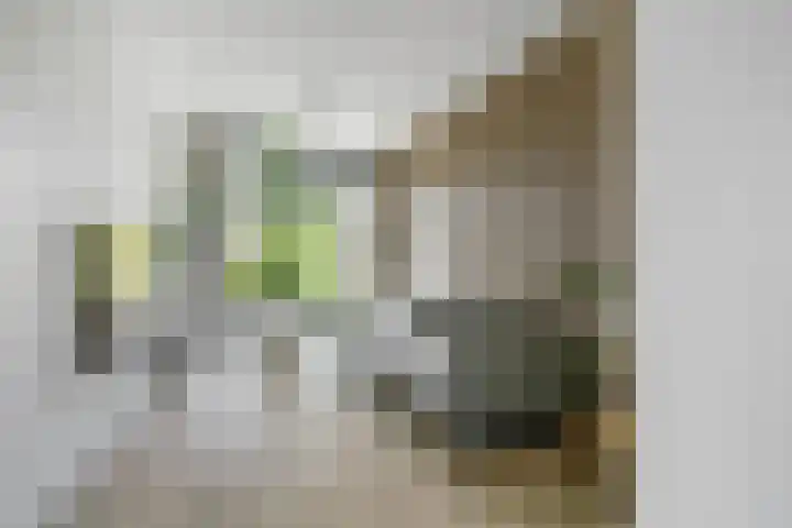 Zenderenstraat 59 Tilburg thumbnail 10