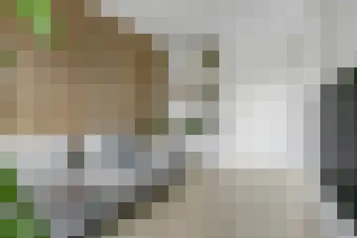 Zenderenstraat 59 Tilburg thumbnail 11