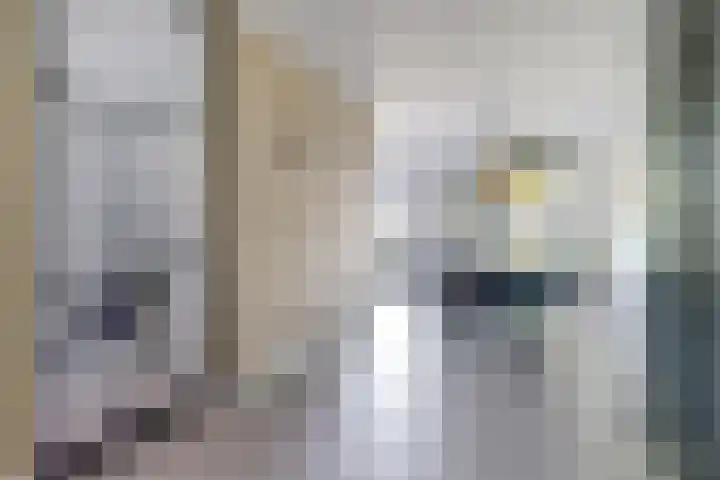 Zenderenstraat 59 Tilburg thumbnail 12
