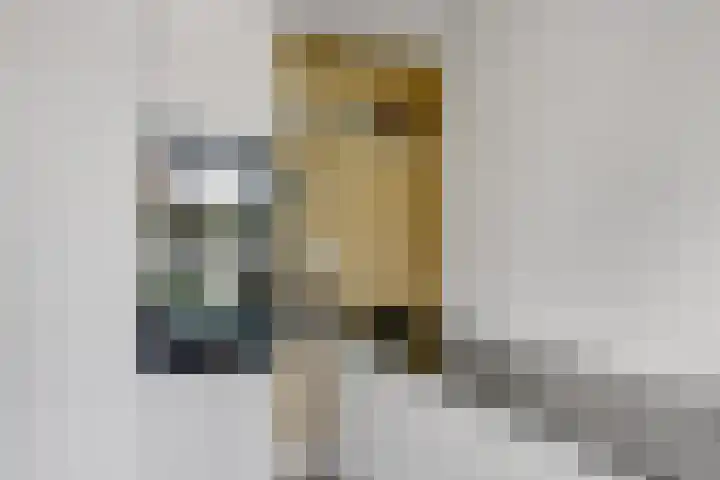 Zenderenstraat 59 Tilburg thumbnail 15