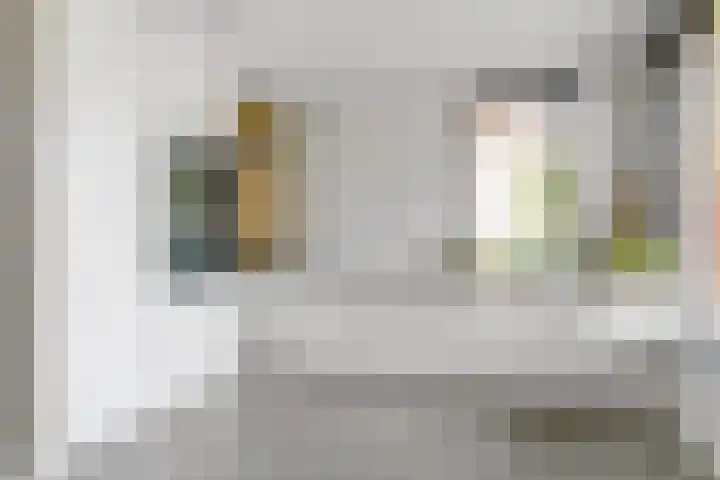 Zenderenstraat 59 Tilburg thumbnail 16
