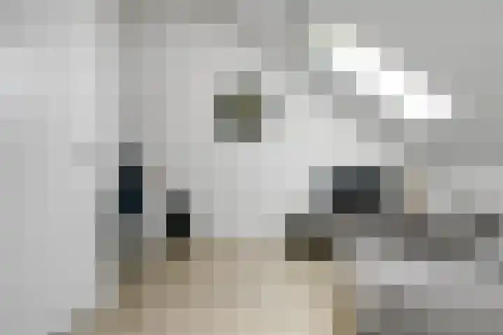 Zenderenstraat 59 Tilburg thumbnail 32