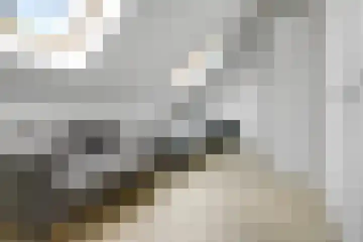 Zenderenstraat 59 Tilburg thumbnail 33