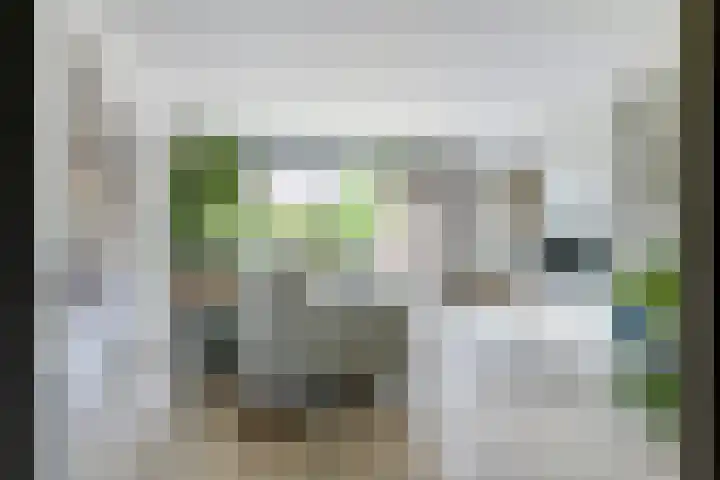 Zenderenstraat 59 Tilburg thumbnail 5