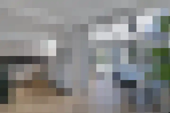 Zenderlaan 15 Huizen thumbnail 10