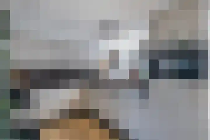 Zenderlaan 15 Huizen thumbnail 11