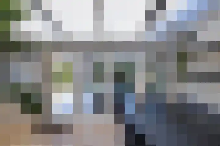 Zenderlaan 15 Huizen thumbnail 13