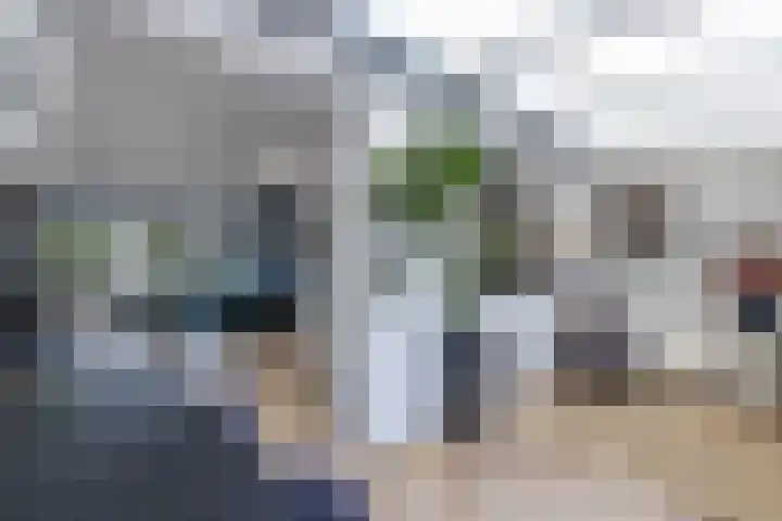 Zenderlaan 15 Huizen thumbnail 14