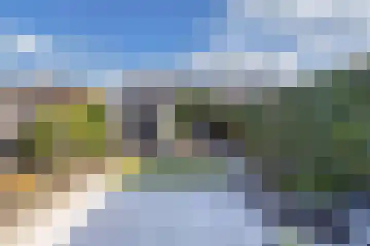 Zenderlaan 15 Huizen thumbnail 19