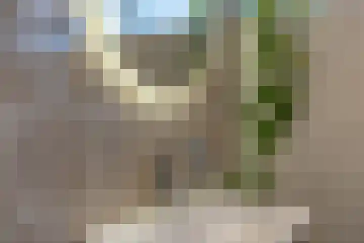 Zenderlaan 15 Huizen thumbnail 25