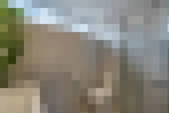 Zenderlaan 15 Huizen thumbnail 27