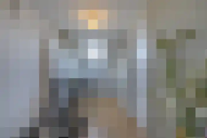 Zenderlaan 15 Huizen thumbnail 29