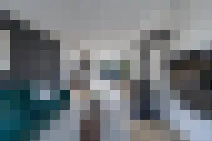 Zenderlaan 15 Huizen thumbnail 8