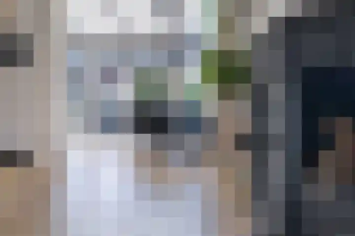 Zenderlaan 15 Huizen thumbnail 9