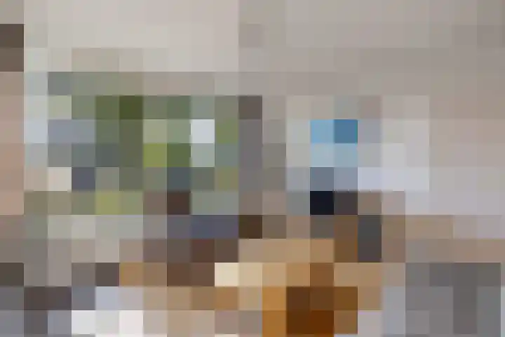 Zenderlaan 20 Huizen thumbnail 11