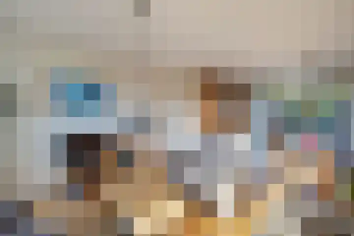 Zenderlaan 20 Huizen thumbnail 12