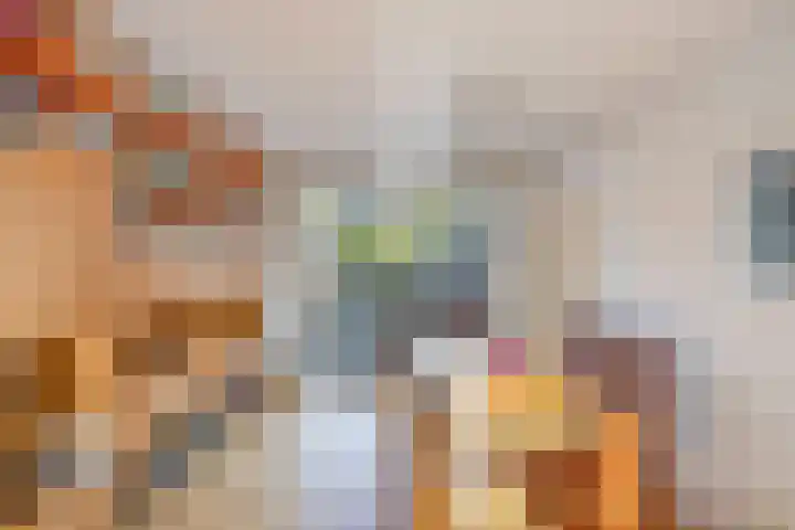 Zenderlaan 20 Huizen thumbnail 13
