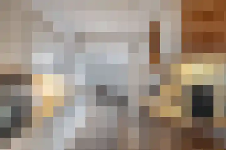 Zenderlaan 20 Huizen thumbnail 14
