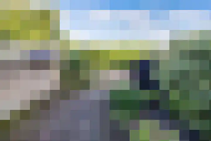 Zenderlaan 20 Huizen thumbnail 18