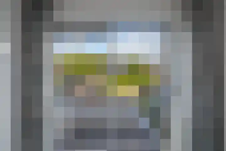 Zenderlaan 20 Huizen thumbnail 27
