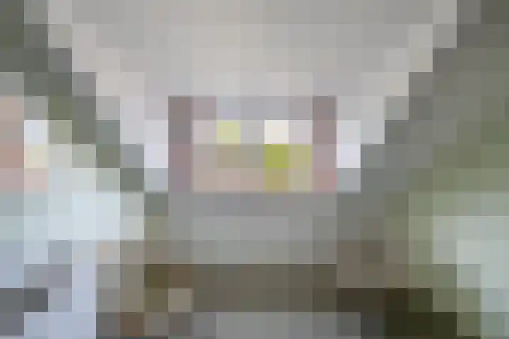 Zenderlaan 20 Huizen thumbnail 34