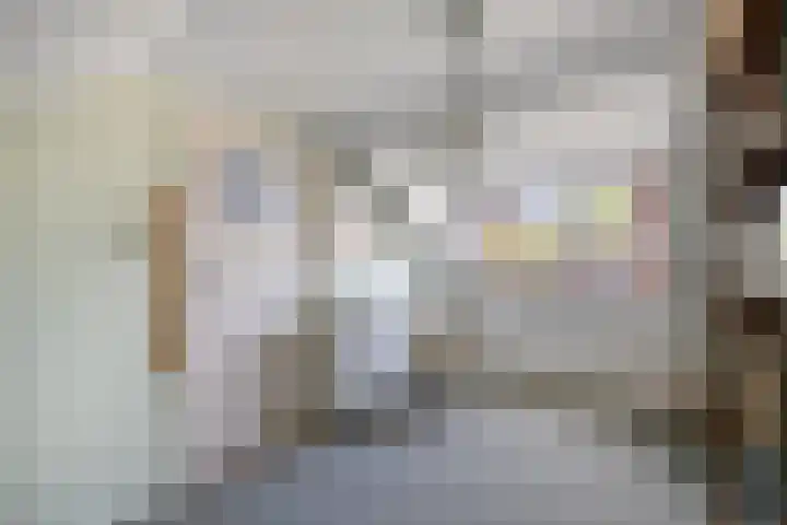 Zenderlaan 20 Huizen thumbnail 35