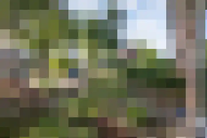 Zenderlaan 20 Huizen thumbnail 4
