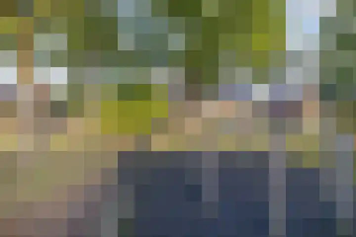 Zenderlaan 20 Huizen thumbnail 5