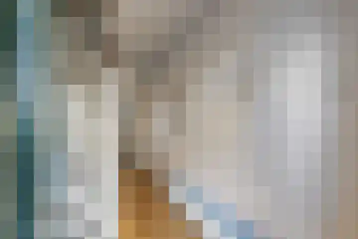 Zenderlaan 20 Huizen thumbnail 6