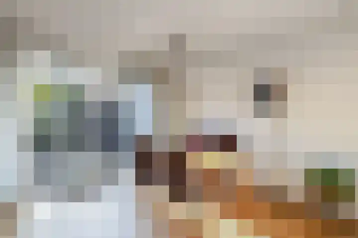 Zenderlaan 20 Huizen thumbnail 9