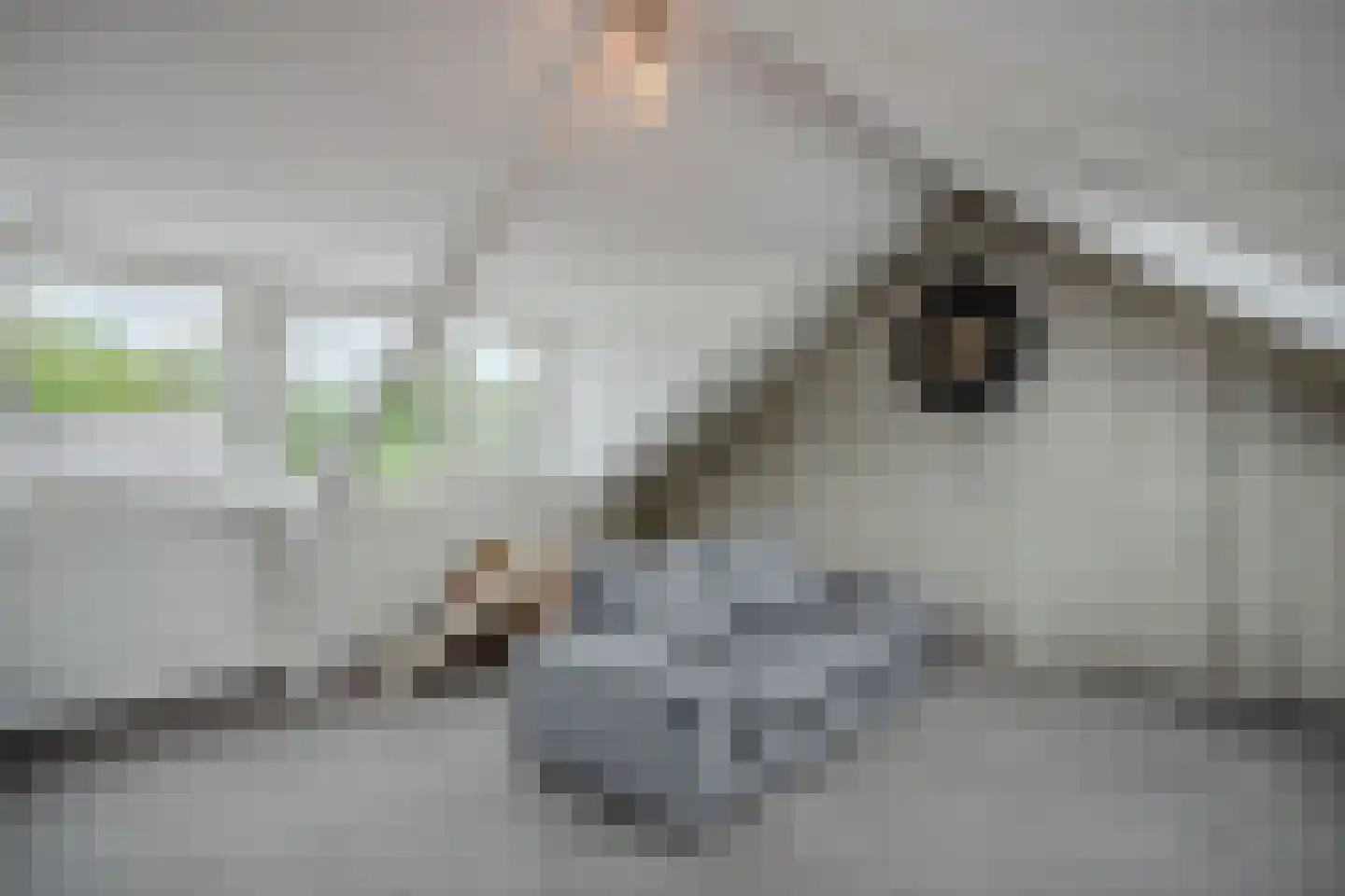 Zenderlaan 26 Huizen thumbnail 25