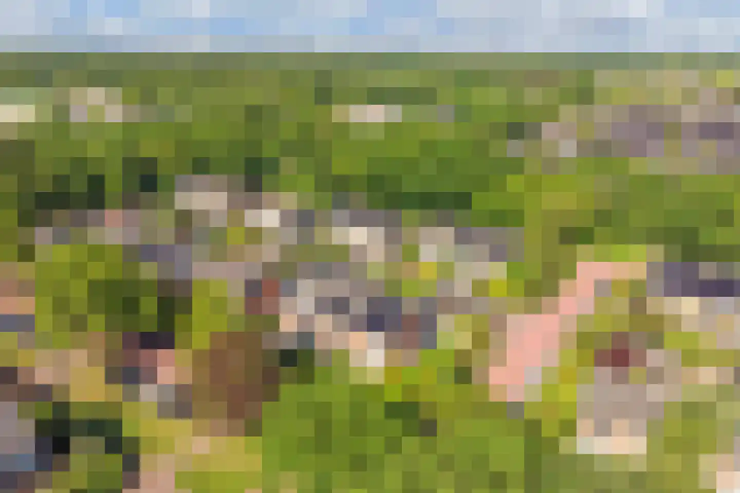Zenderlaan 26 Huizen thumbnail 37
