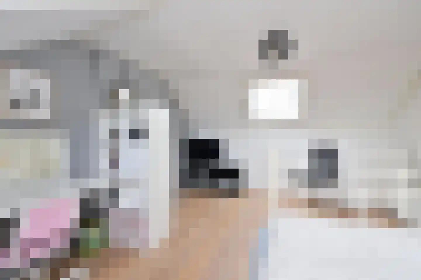 Zenderlaan 37 Huizen thumbnail 12