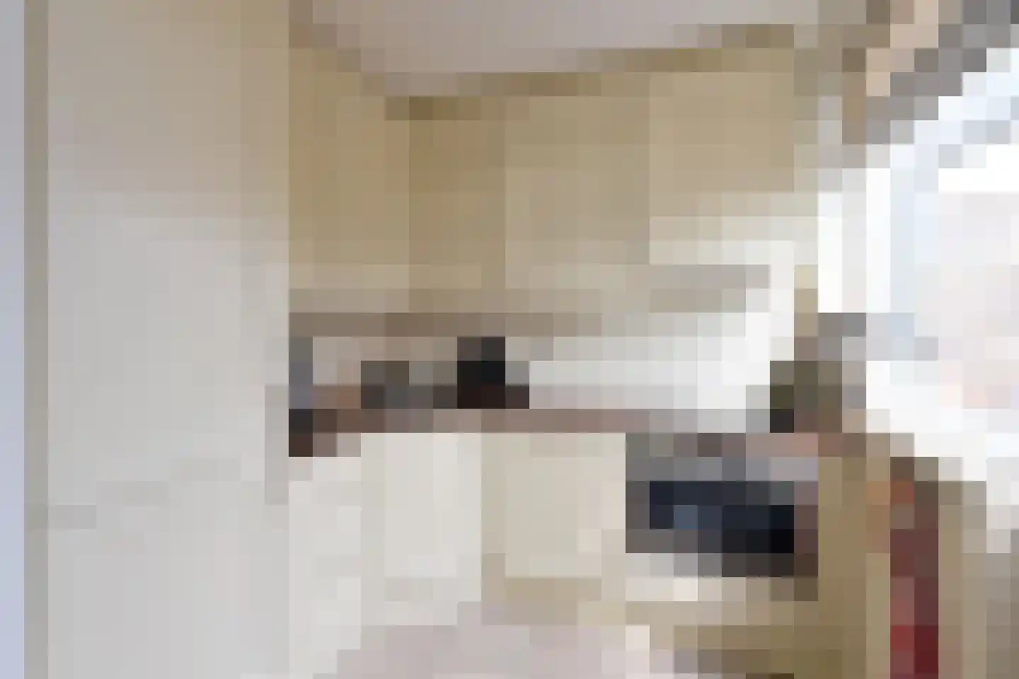 Zenderlaan 37 Huizen thumbnail 6