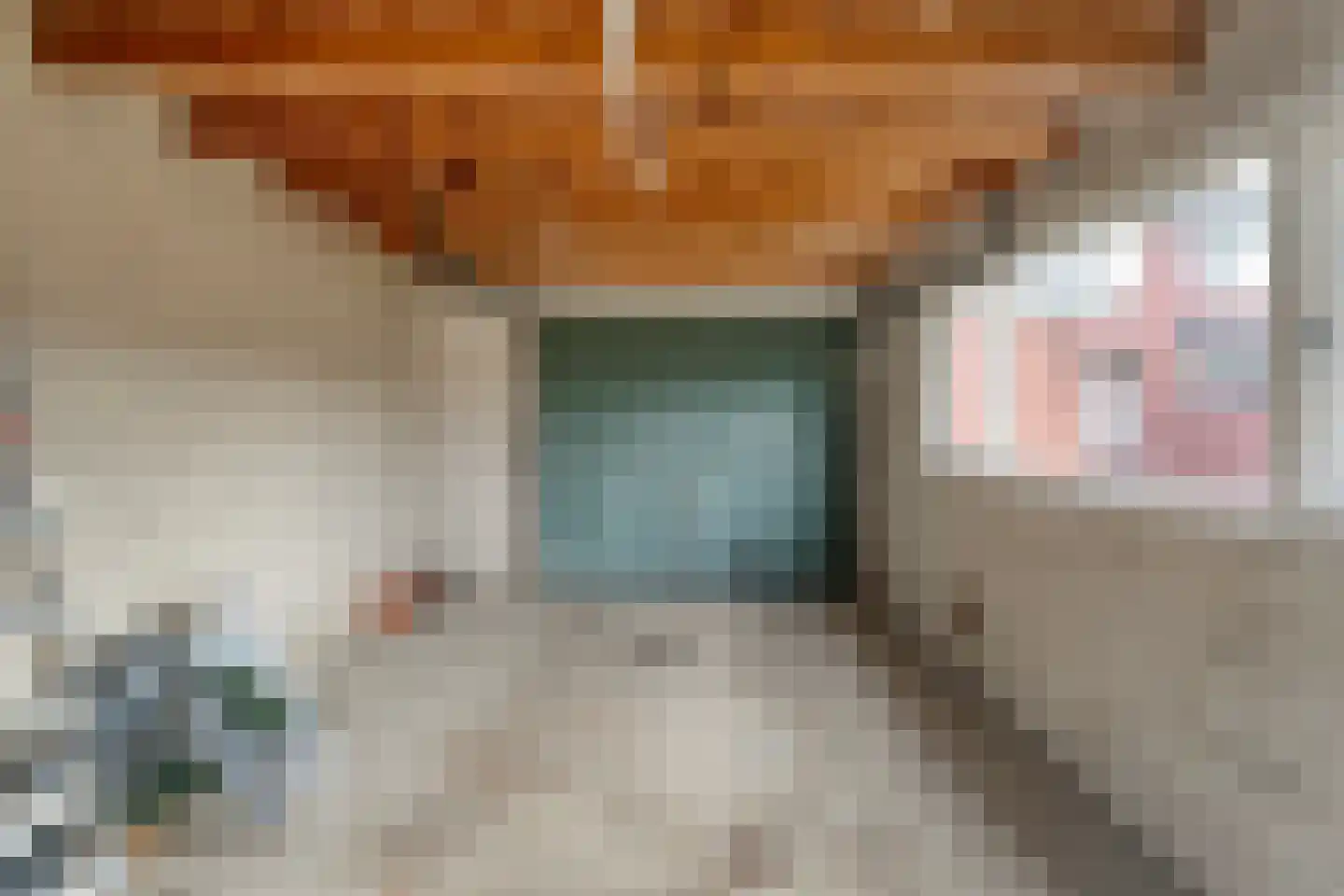 Zenderseweg 24 Albergen thumbnail 22