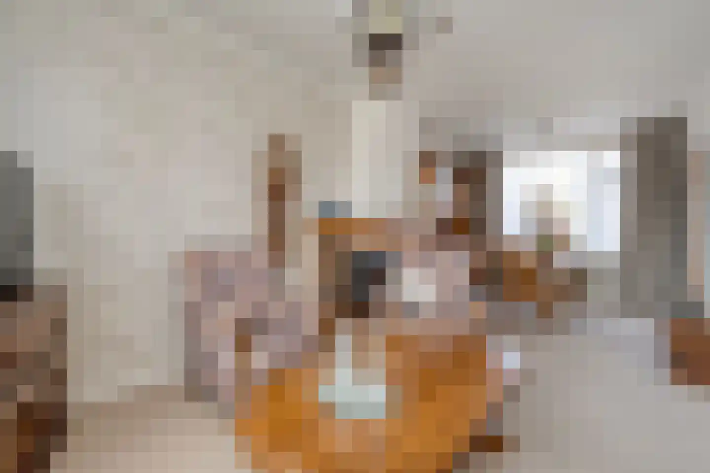 Zenderseweg 24 Albergen thumbnail 5