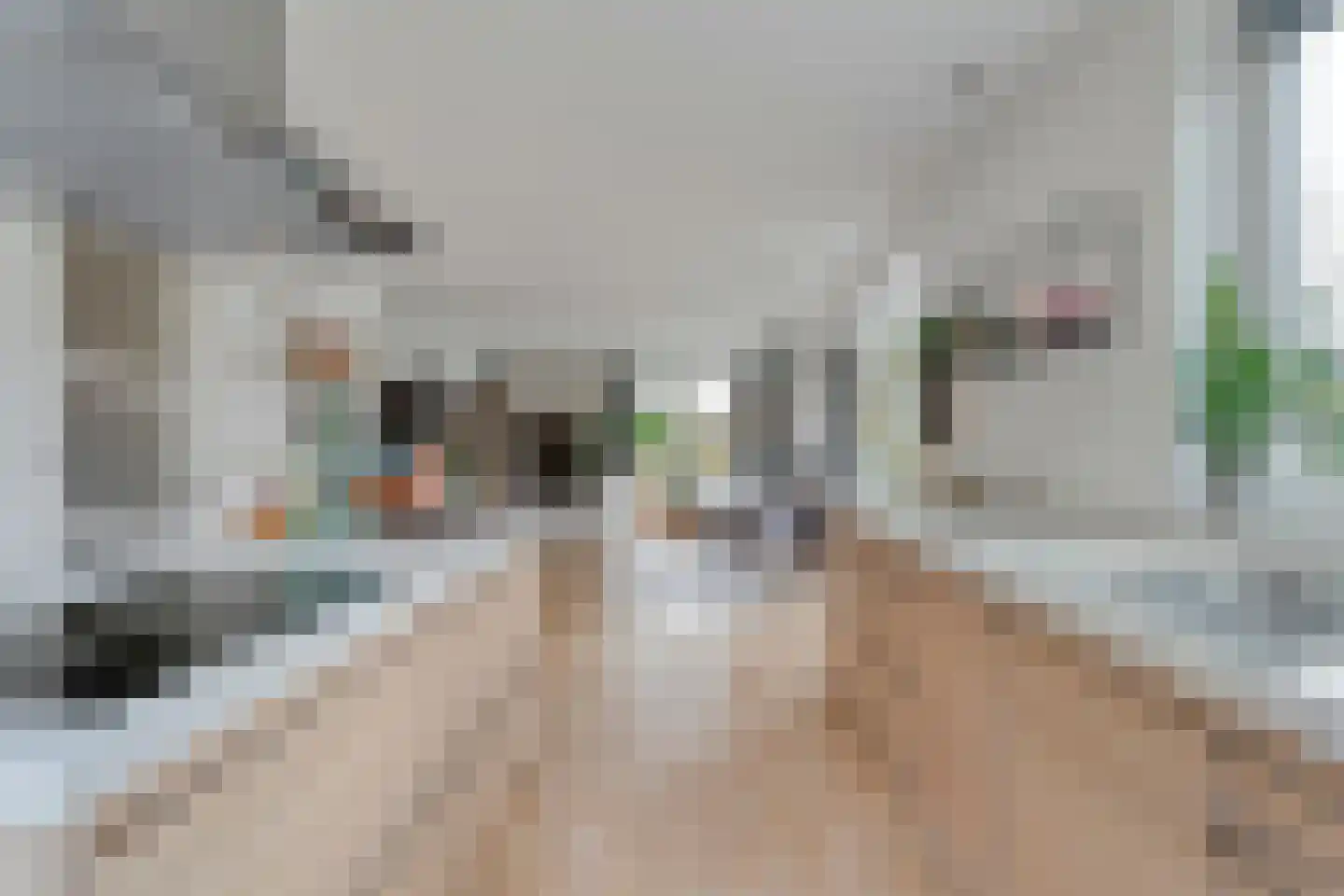 Zenderseweg 40 a Albergen thumbnail 19