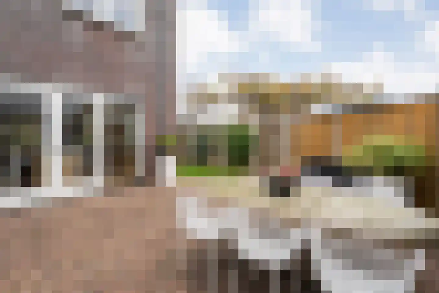 Zenderseweg 40 a Albergen thumbnail 22