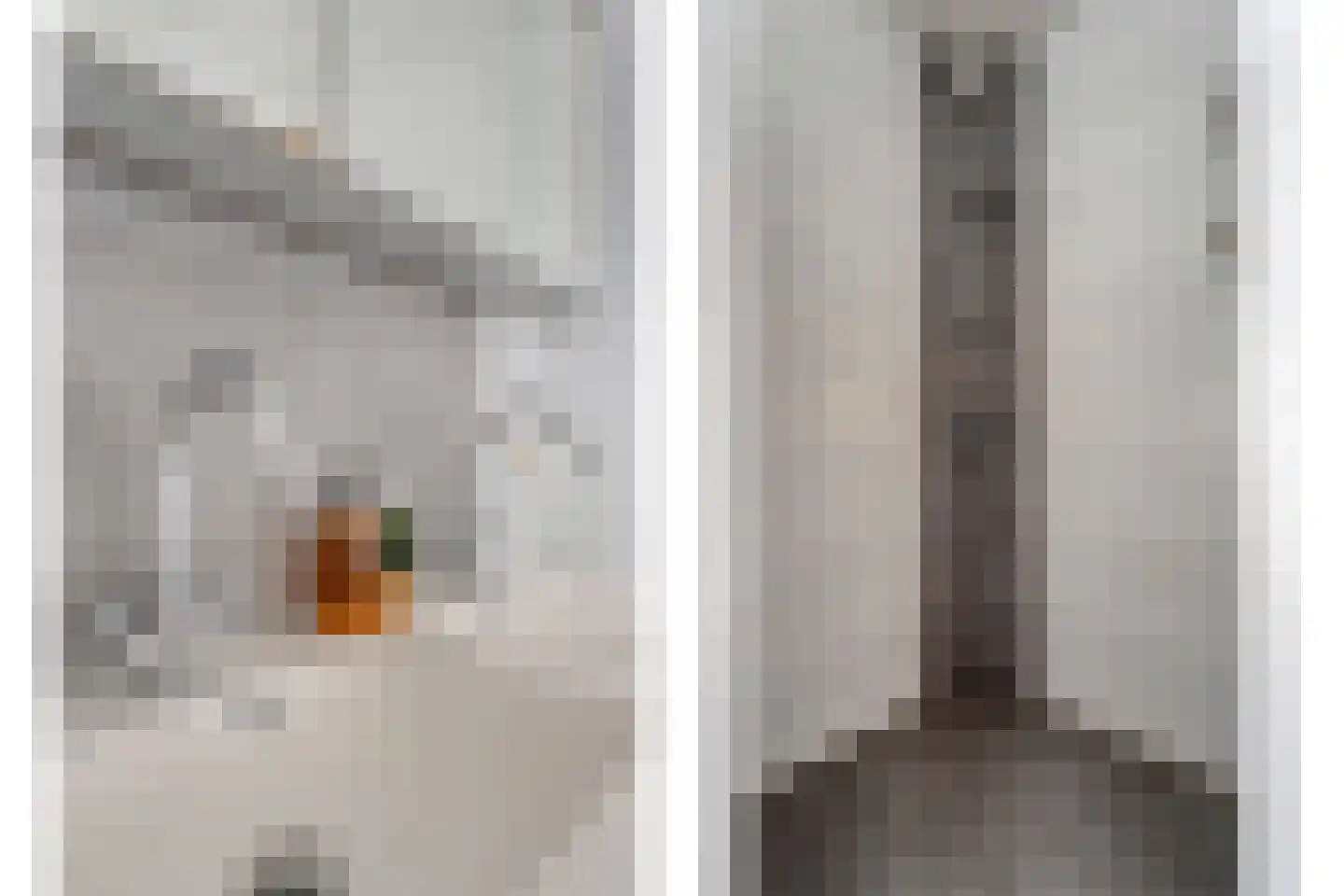 Zenderseweg 40 a Albergen thumbnail 35