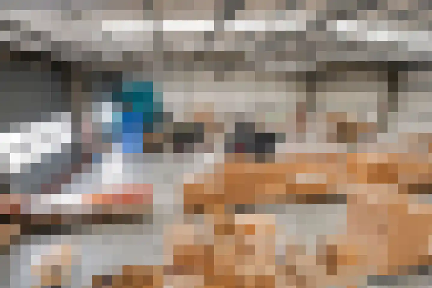 Zenderseweg 40 a Albergen thumbnail 50