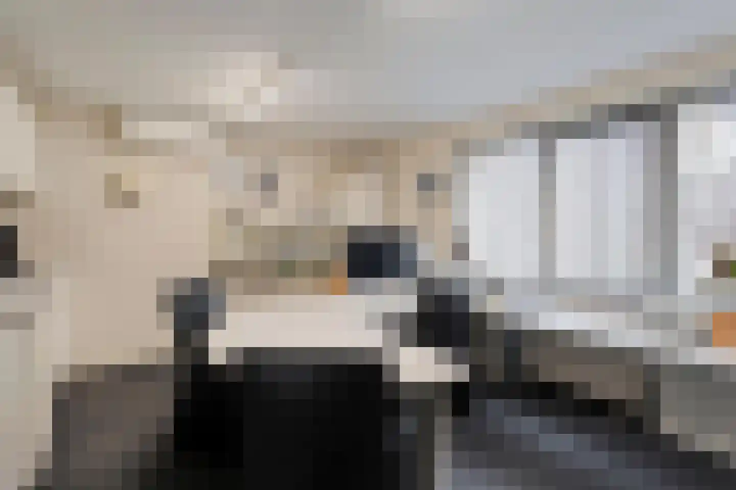 Zenderseweg 40 a Albergen thumbnail 52