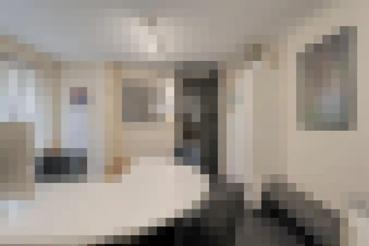 Zenderseweg 40 a Albergen thumbnail 53