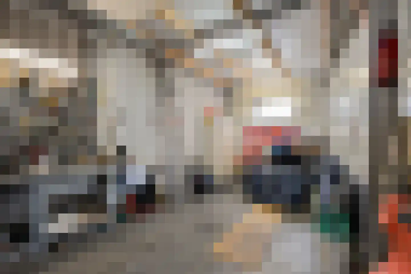 Zenderseweg 40 a Albergen thumbnail 57