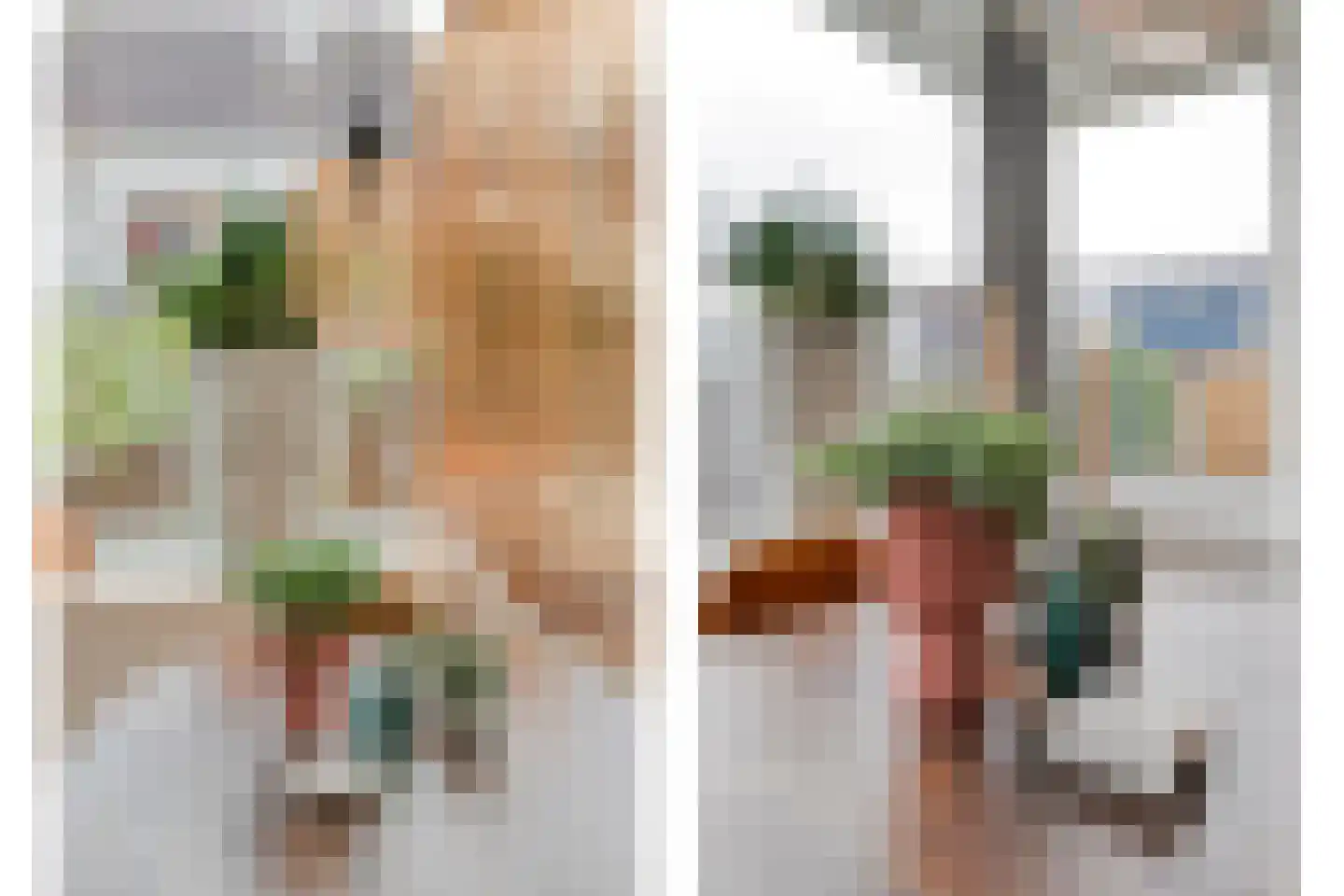 Zenderseweg 40 a Albergen thumbnail 8