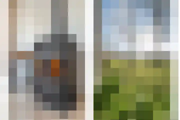 Zenderseweg 67 Albergen thumbnail 12