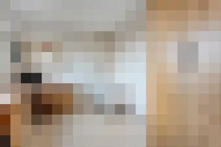Zenderseweg 67 Albergen thumbnail 14