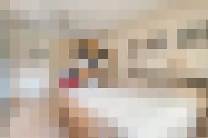 Zenderseweg 67 Albergen thumbnail 15